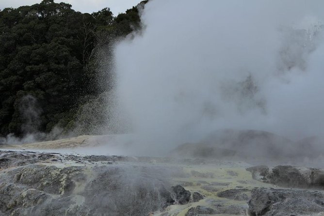 2-Day Hobbiton, Rotorua, Waitomo Caves Tour from Auckland with Accommodation - Transport, guides, and the small-group setup