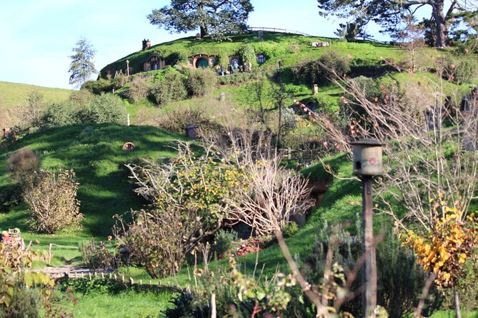 2-Day Hobbiton, Rotorua, Waitomo Caves Tour from Auckland with Accommodation - Te Puia brings together geysers, crafts, and Maori culture