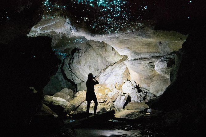 3-Hour Private Photography Tour in Waitomo Caves - Key points at a glance