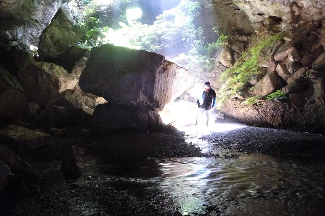 3-Hour Private Photography Tour in Waitomo Caves - Photographing glow worms at a slower pace