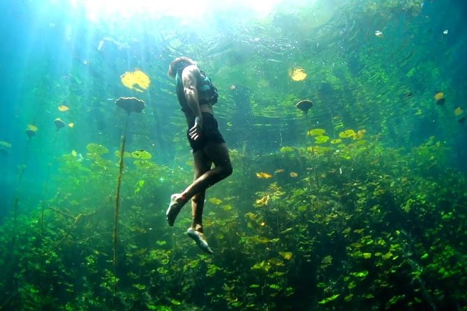 4-in-1 Cenote Tour Guided Experience with Breakfast, Lunch & Wine - Four cenotes, four very different adventures