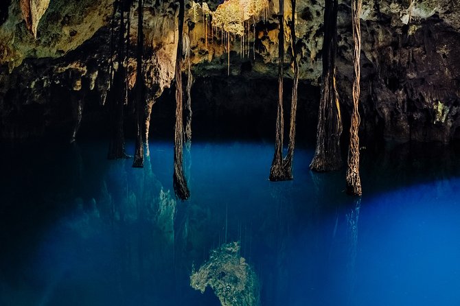 4-in-1 Cenote Tour Guided Experience with Breakfast, Lunch & Wine - Lu’um Earth Cenote: assisted rappel into a cave