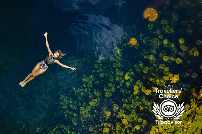 4-in-1 Cenote Tour Guided Experience with Breakfast, Lunch & Wine - What the $149.99 price really covers