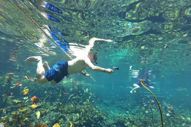 4 Private Cenotes, Zip-Lines, Canoes & Mayan Village with Delicious Lunch - Why the private format can justify $275