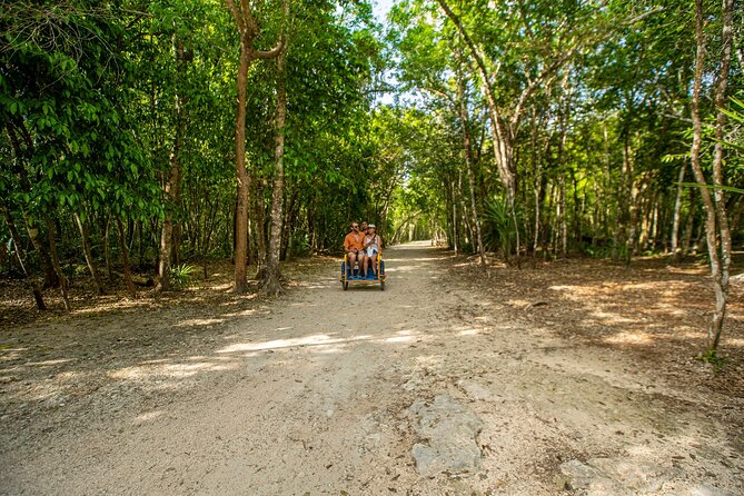 4x1 Tulum, Coba, Cenote & Playa del Carmen from Cancun - Playa del Carmen and a short Fifth Avenue walk
