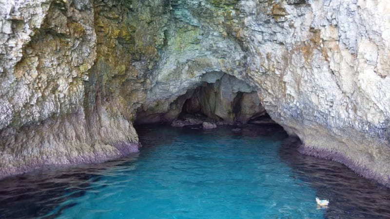 5-hour Cape Greco Caves kayaking + Snorkelling trip - Wildlife, water, and the practical side of snorkeling