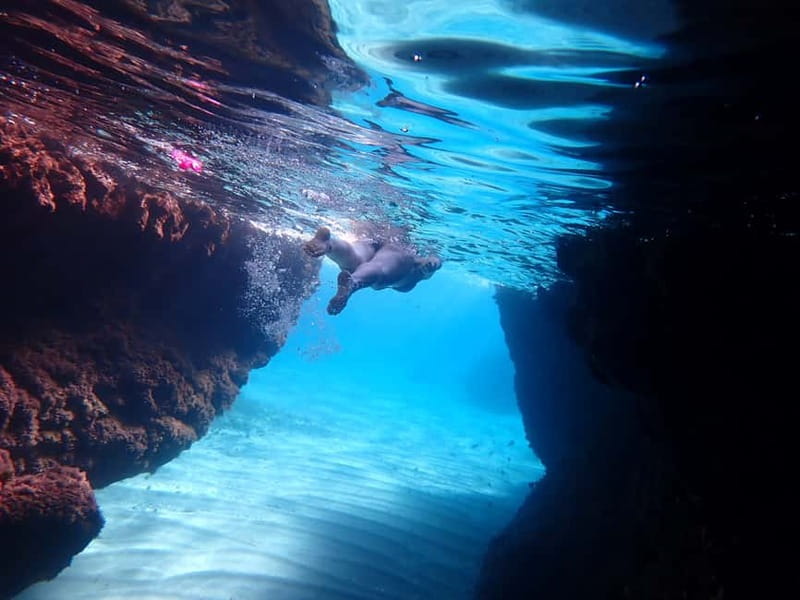 5-hour Cape Greco Caves kayaking + Snorkelling trip - The Palaces at Sea Caves Cove