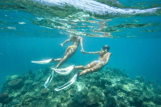 5-in-1 Adventure in Cancun: ATVs, Ziplines, Speed Boat, Snorkel and Cenote Swim - Lunch comes after the action