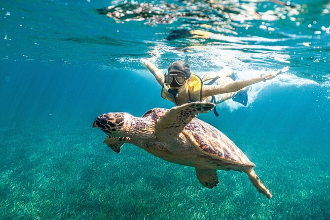 5-in-1 Cancun Snorkeling: Turtles, Reef, Musa, Shipwreck, Cenote - Two MUSA galleries beneath the surface