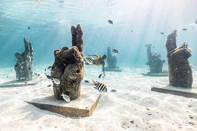 5-in-1 Cancun Snorkeling: Turtles, Reef, Musa, Shipwreck, Cenote - Shipwreck swimming with more fish