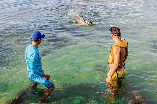 5-in-1 Cancun Snorkeling: Turtles, Reef, Musa, Shipwreck, Cenote - The cenote stop needs realistic expectations