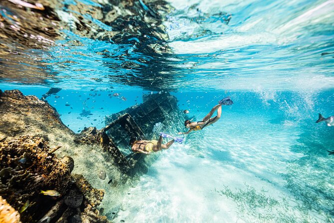 5-in-1 Cancun Snorkeling: Turtles, Reef, Musa, Shipwreck, Cenote - The guides make this workable for first-timers