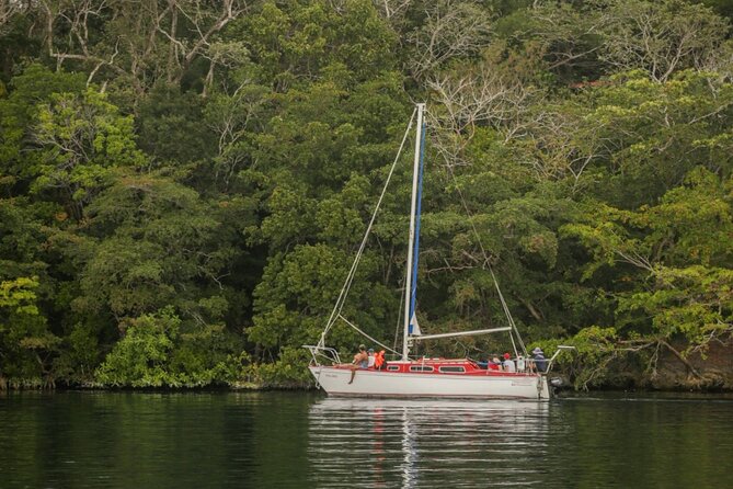 6hrs of Sailing in Bacalar Lagoon: discover Cenotes, Islands and Stromatolites. - Meeting point and the practical start