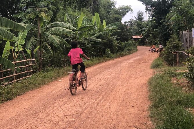 Afternoon tour by tuk tuk to bamboo train,bat cave,killing cave,countryside. - Phnom Sampeau and the Killing Cave