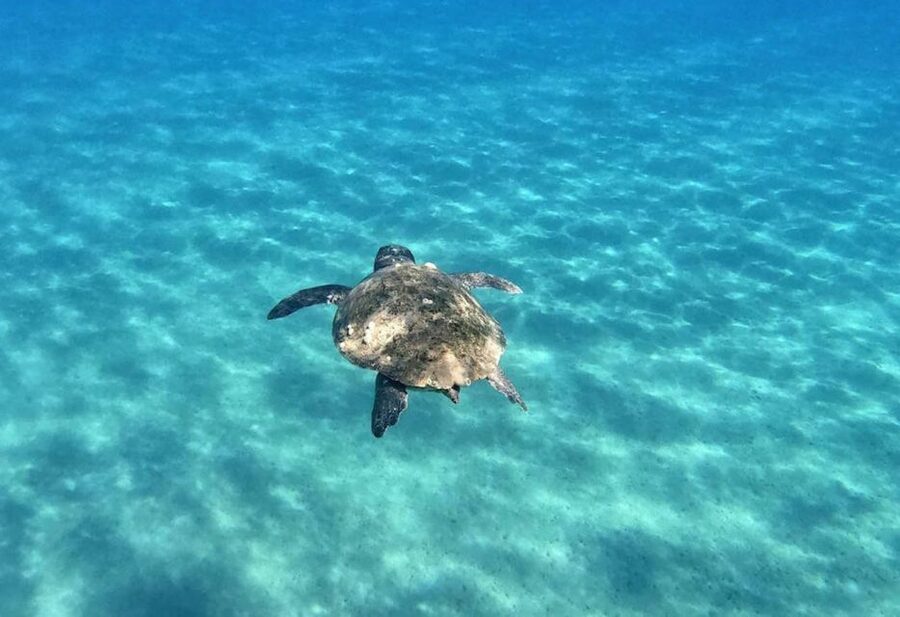 Agios Sostis: Marathonissi, Keri Caves, and Turtle Spotting - Who gets the best value from the $29 price
