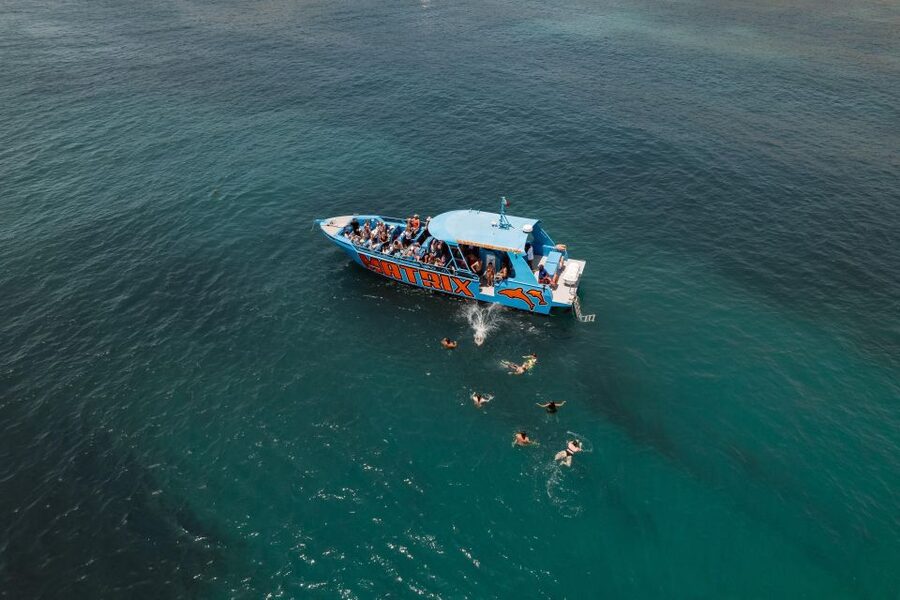 Albufeira: 2.5-Hour Dolphin Watching and Caves Trip - Albandeira and Praia da Marinha