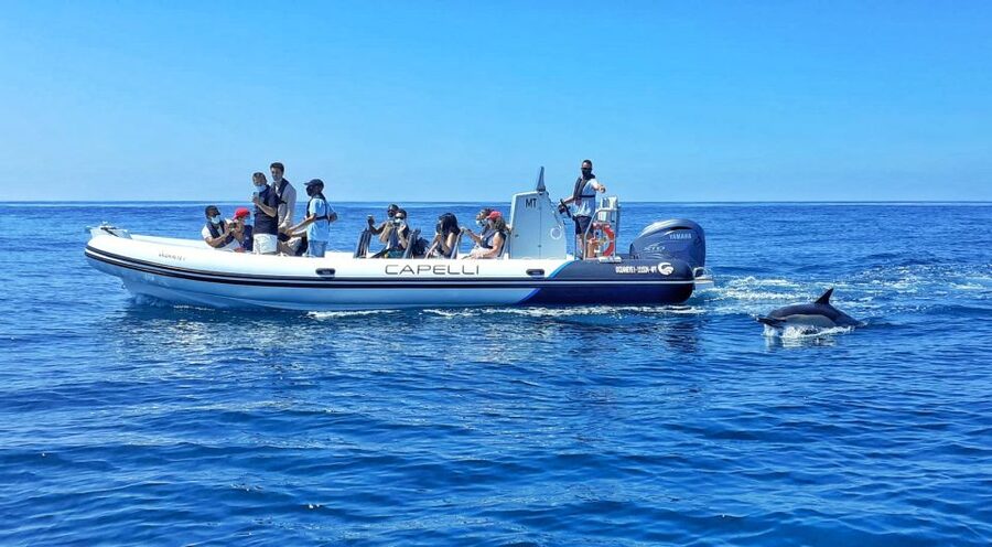 Albufeira: Benagil Cave and Dolphin Sightseeing Boat Cruise - Senhora da Rocha and its cliffside caves