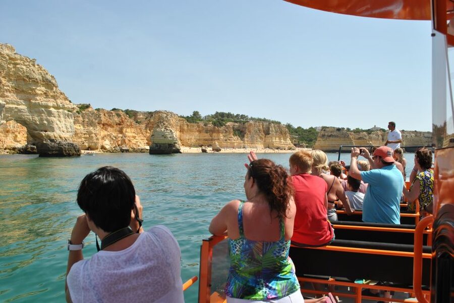 Albufeira: Dolphin Watching and Benagil Cave - Searching for dolphins in the Algarve
