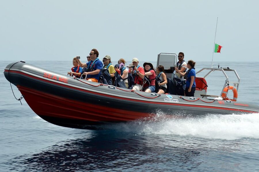 Albufeira: Dolphin Watching and Benagil Cave Boat Cruise - Searching for dolphins in the open Atlantic