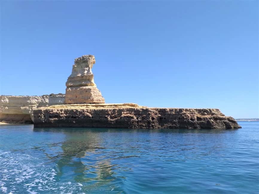 Albufeira: Dolphin Watching and Benagil Cave Boat Cruise - Who should book this cruise?