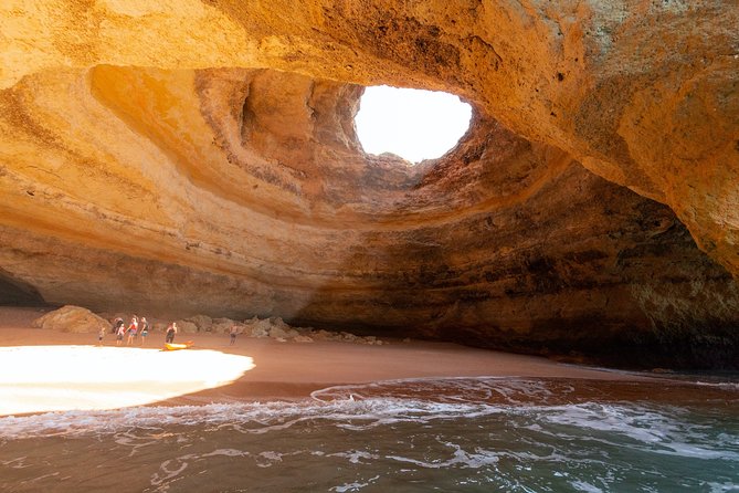 Albufeira: Dolphins and Caves Private Tour - Leaving from Albufeira Marina