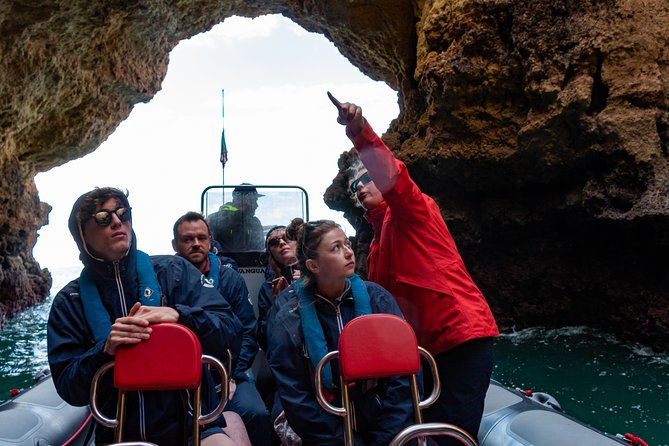 Albufeira: Dolphins and Caves Private Tour - A private boat changes the feel of the trip