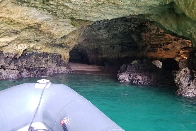 Albufeira: Dolphins and Caves Tour - Is $36.28 a fair price?