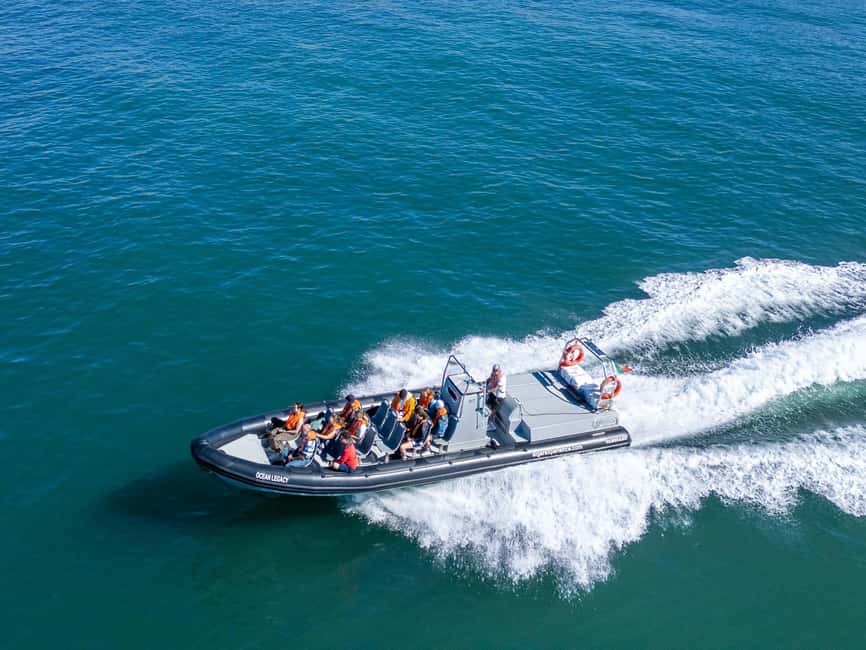 Albufeira: Dolphins & Benagil Caves RIB Tour - Forty-five minutes searching for wild dolphins