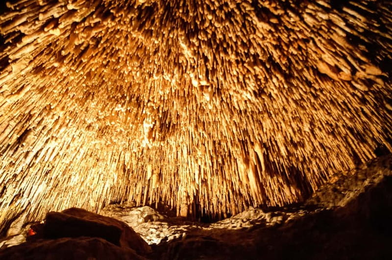 Alcudia: Caves of Drach Tour from the North with Boat Trip - Key points to know before you book