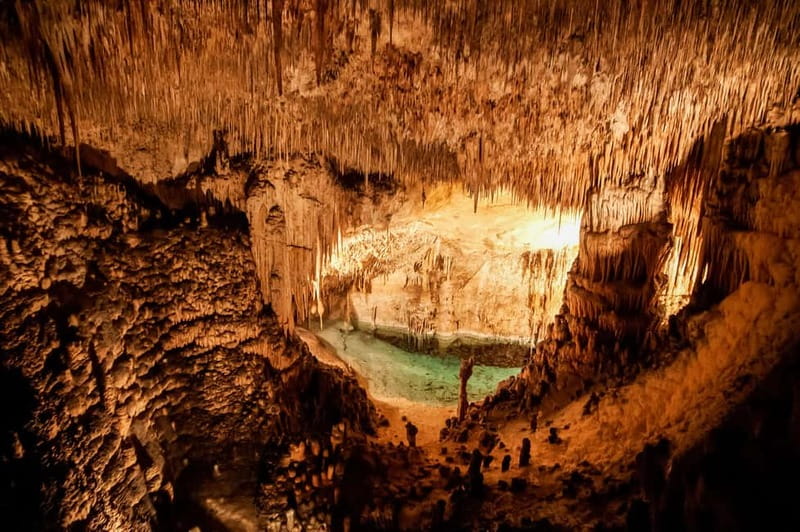 Alcudia: Caves of Drach Tour from the North with Boat Trip - Who should book this excursion?
