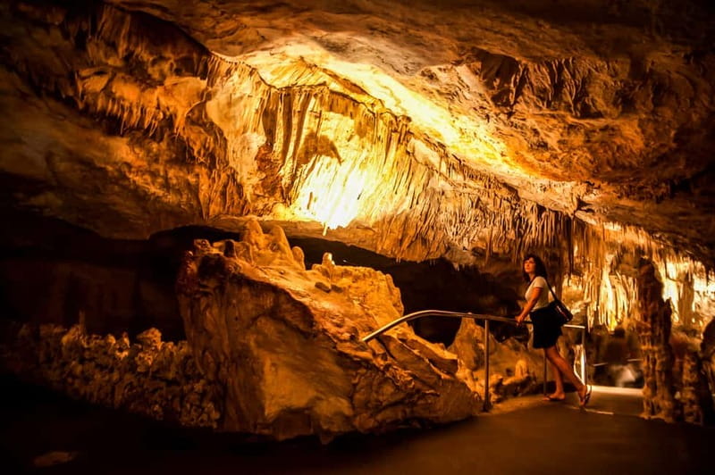 Alcudia: Caves of Drach Tour from the North with Boat Trip - Why the Caves of Drach are worth the ride