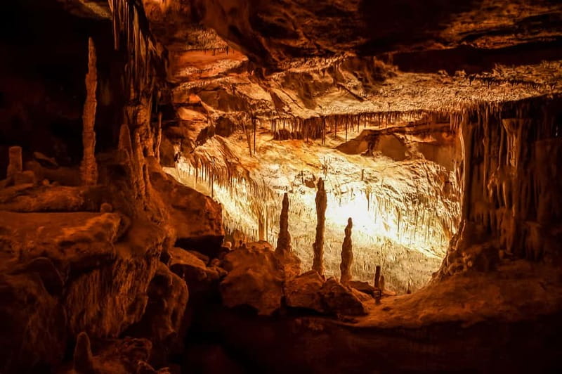 Alcudia: Caves of Drach Tour from the North with Boat Trip - The Majorica pearl showroom stop
