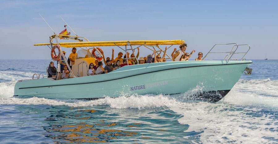 Alcudia: Coll Baix Beach & Sea Caves Cruise with Snorkeling - Why Coll Baix is the main attraction