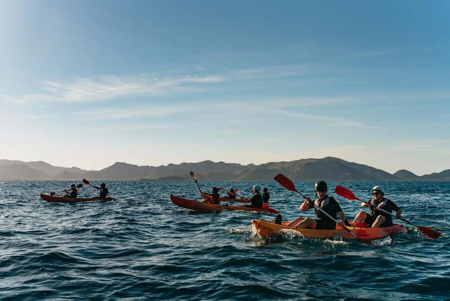 Alcudia: Kayak Tour with Snorkel & Sea Cave Swim - Who should book this Alcudia kayak tour?