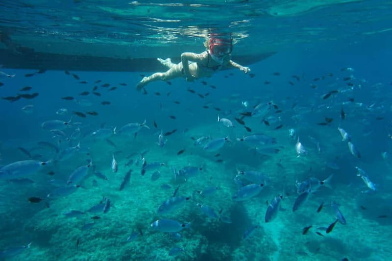 Alcudia: Sea Caves Coves and Snorkeling in small groups - Along the cliffs toward Es Caló