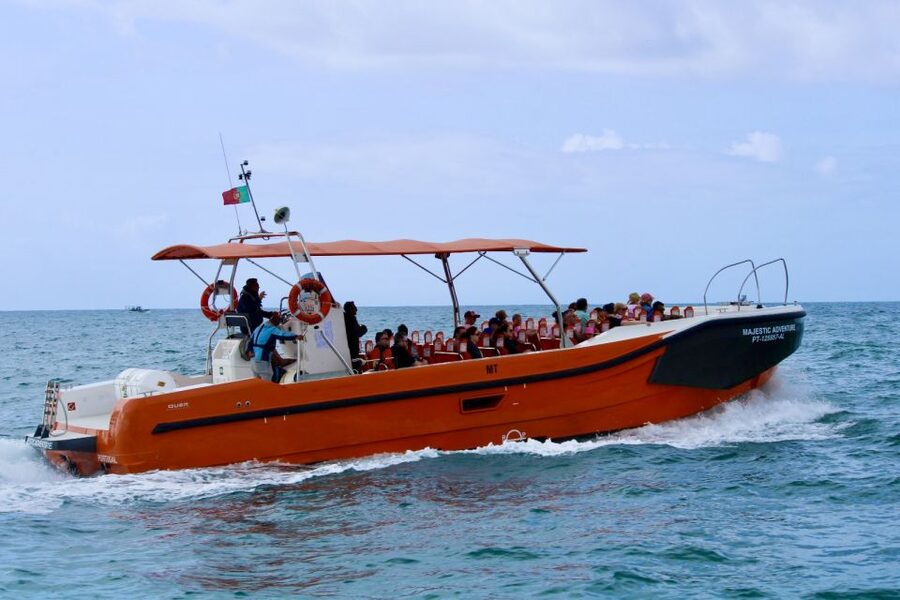 Algarve: Benagil Caves Open Speedboat Tour - The coastal ride and dolphin search