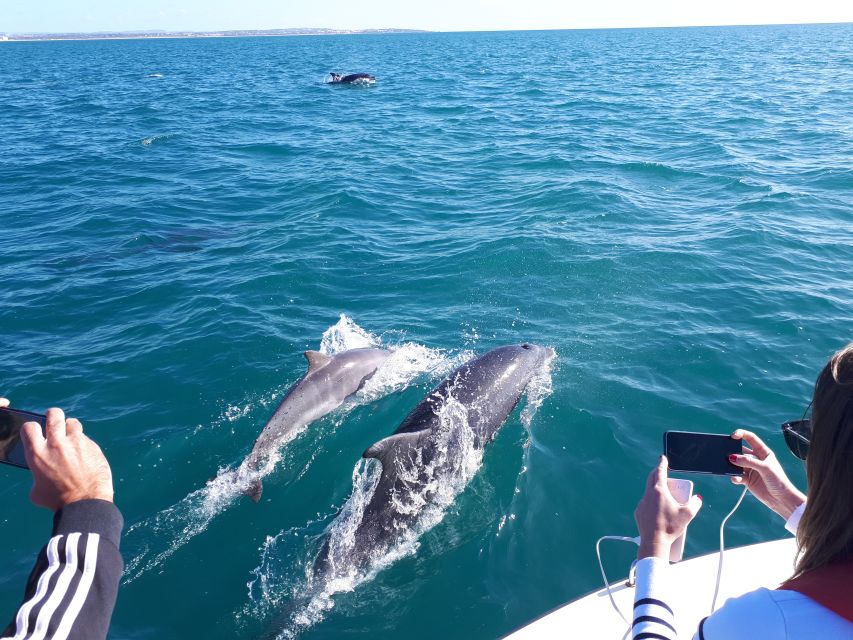 Algarve: Boat Trip to the Caves of Benagil - Starting on the Arade River in Portimão