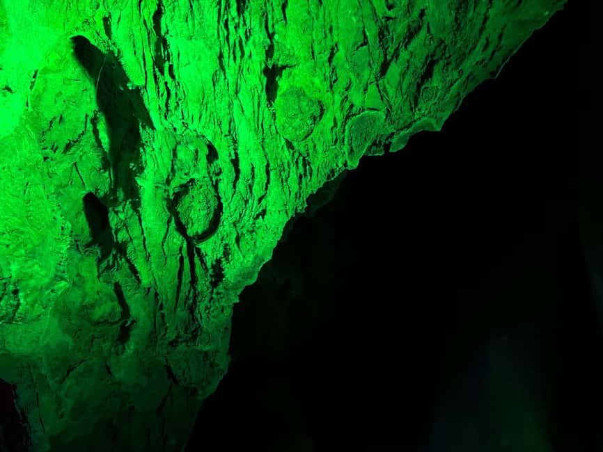 Alicante: Canelobre Caves and Busot Tour - Entering the Canelobre Caves from Alicante