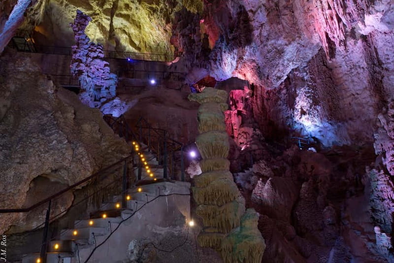 Alicante: Canelobre Caves & Busot – Local Guided Tour - The ride from Hotel Meliá Alicante