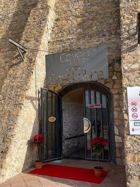 Alicante: Canelobre Caves & Busot Tour including transfer - Is $62 a Fair Price?