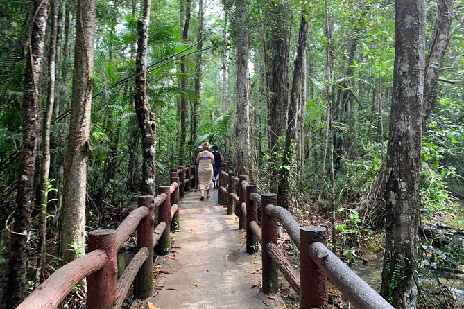 All day Krabi Jungle Tour (Hot Spring Water, Emerald Pool, Tiger Cave Temple) - Three inland sights in one long Krabi day