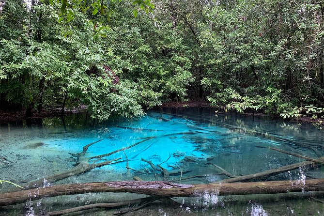 All day Krabi Jungle Tour (Hot Spring Water, Emerald Pool, Tiger Cave Temple) - Who should book this Krabi jungle tour