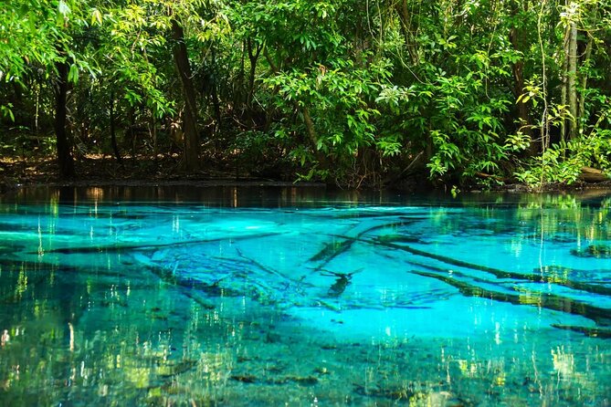 All day Krabi Jungle Tour (Hot Spring Water, Emerald Pool, Tiger Cave Temple) - Soaking at Namtok Ron Hot Spring Waterfall