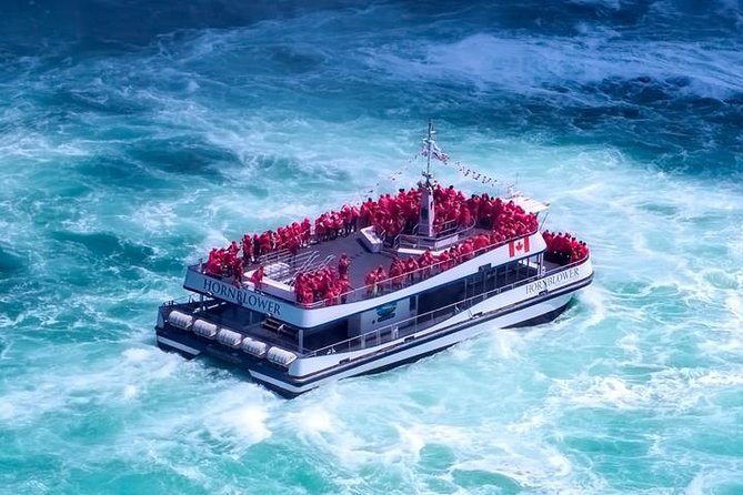 All Inclusive Niagara Falls USA Tour W/Boat Ride,Cave & Much MORE - Observation Tower and the three falls