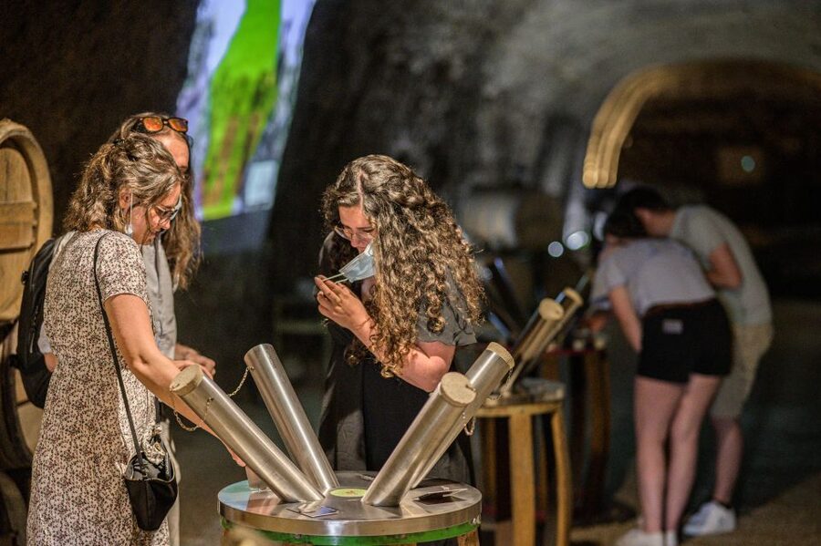 Amboise: Caves Ambacia Visit and Wine Tasting - The Vintages Odyssey connects bottles with 150 years of history