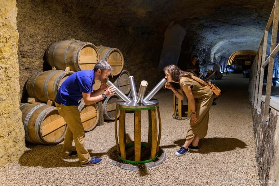 Amboise: Caves Ambacia Visit and Wine Tasting - Is $37 a good value?