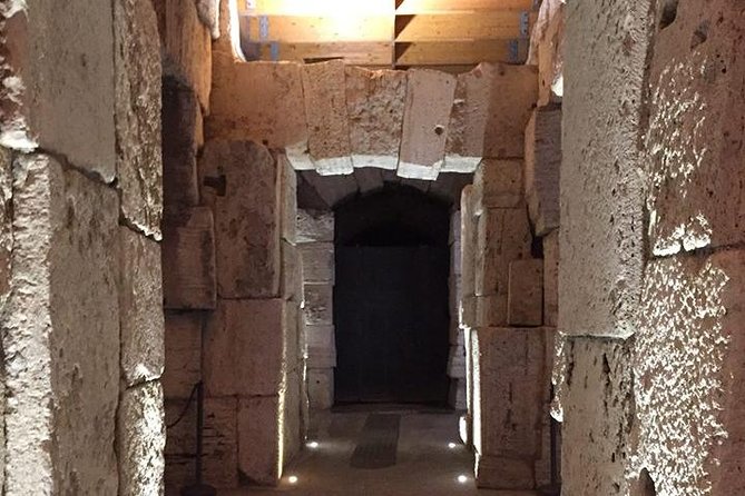 Ancient Rome and Colosseum Private Tour with Underground Chambers and Arena - Who will get the most from this tour?