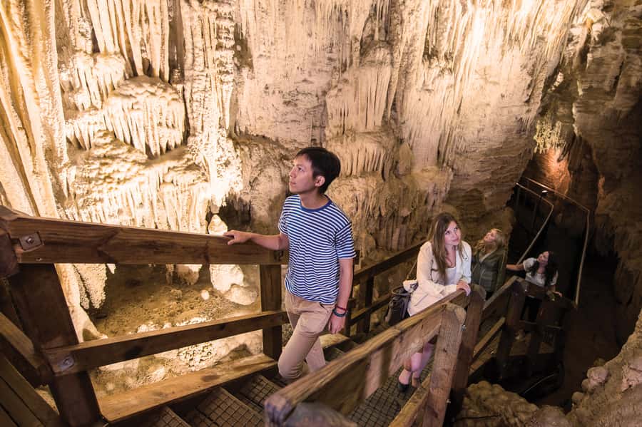 Aranui Cave 1-Hour Guided Tour - Starting at the Waitomo Glowworm Caves Visitor Centre