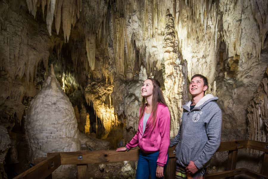 Aranui Cave 1-Hour Guided Tour - A 15-minute walk through Ruakuri Scenic Reserve
