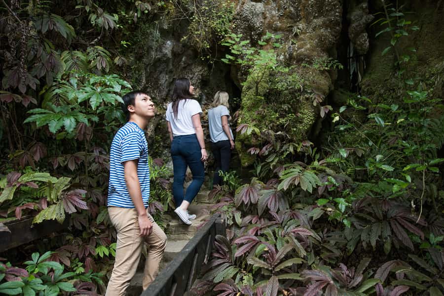 Aranui Cave 1-Hour Guided Tour - Is one hour enough?